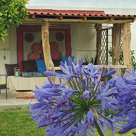 Casinha D'Alice Et Serge Cela Velha Kültér fotó