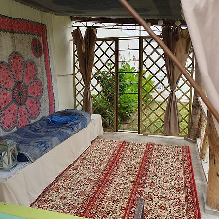 Casinha D'Alice Et Serge Cela Velha Kültér fotó